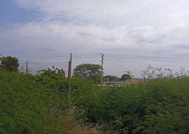 Sustainable Innovation